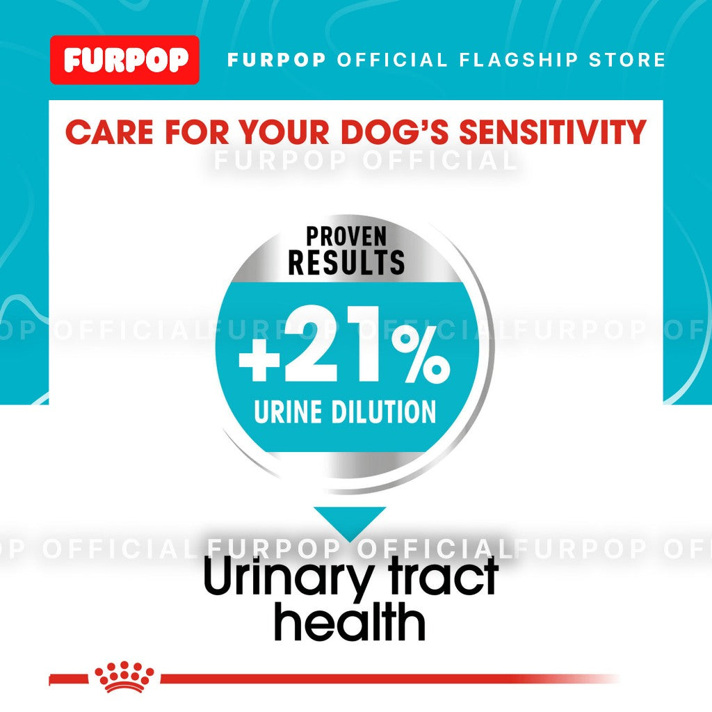 Royal Canin Mini Urinary Care (3kg) Adult Dry Dog Food - Canine Care Nutrition