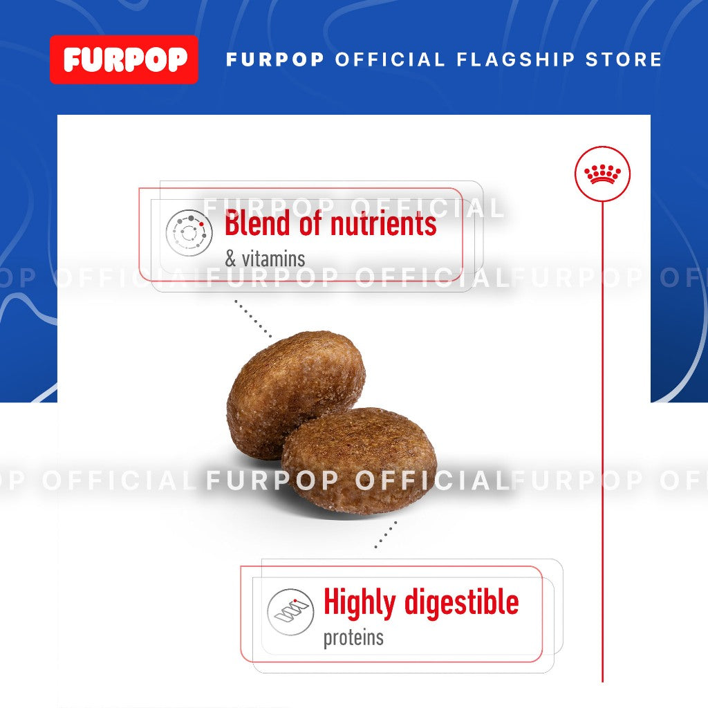 Royal Canin Maxi 5+ Adult (4KG) Dry Dog Food - Size Health Nutrition | FURPOP