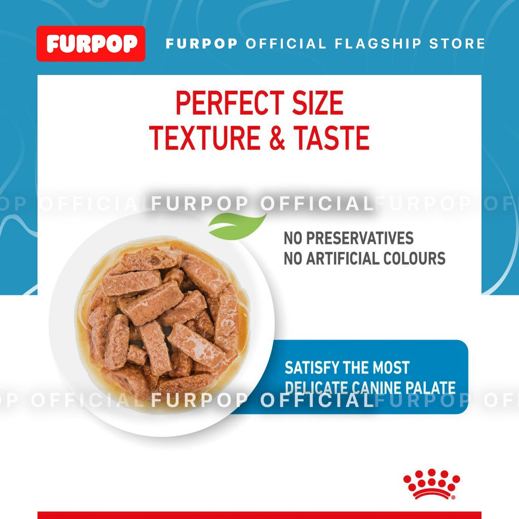 Royal Canin Maxi Puppy (140g x 10 pouches) Wet Dog Food - Size Health Nutrition | FURPOP