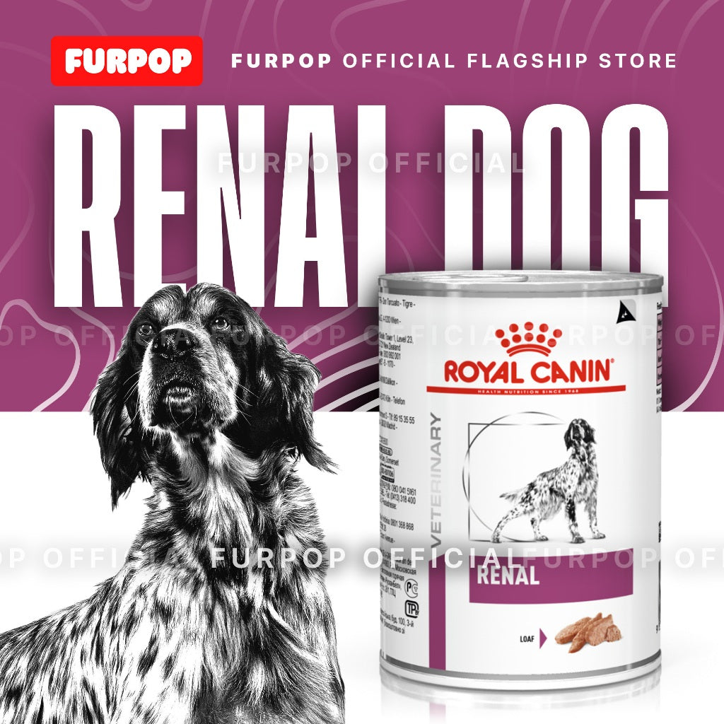 Royal Canin Renal Wet food for Dog Canned 410g VHN Vet Renal Dog Canine