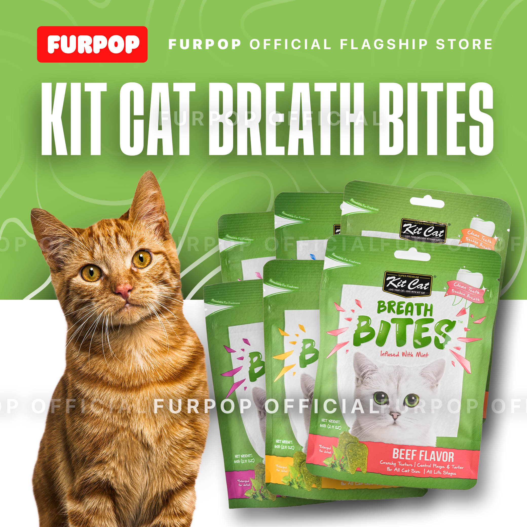 Kit Cat Breath Bite Cat Chicken Lamb Salmon Seafood Kitten