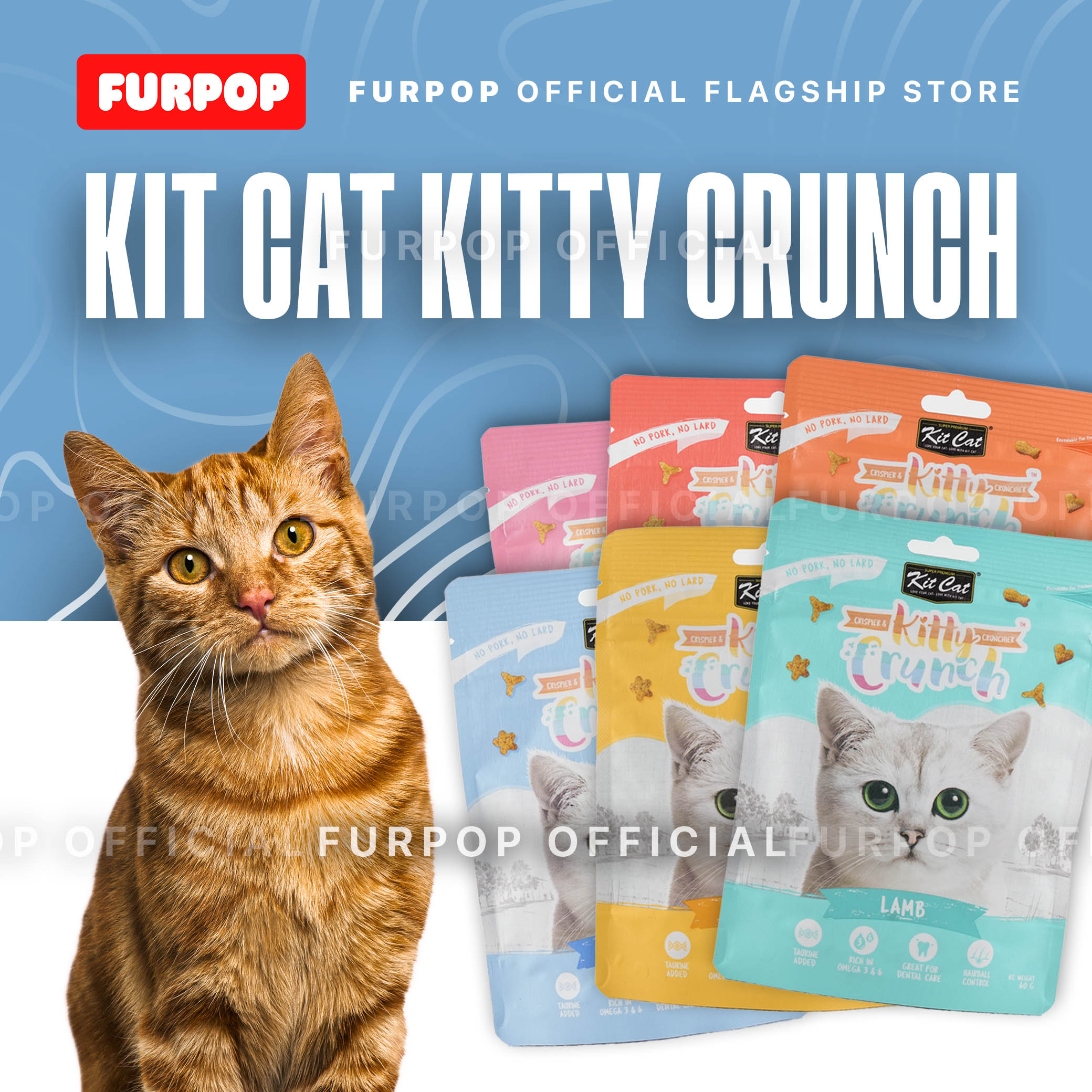 Kit Cat Kitty Crunch 6 Flavors Beef Lamb Chicken Seafood Salmon Tuna