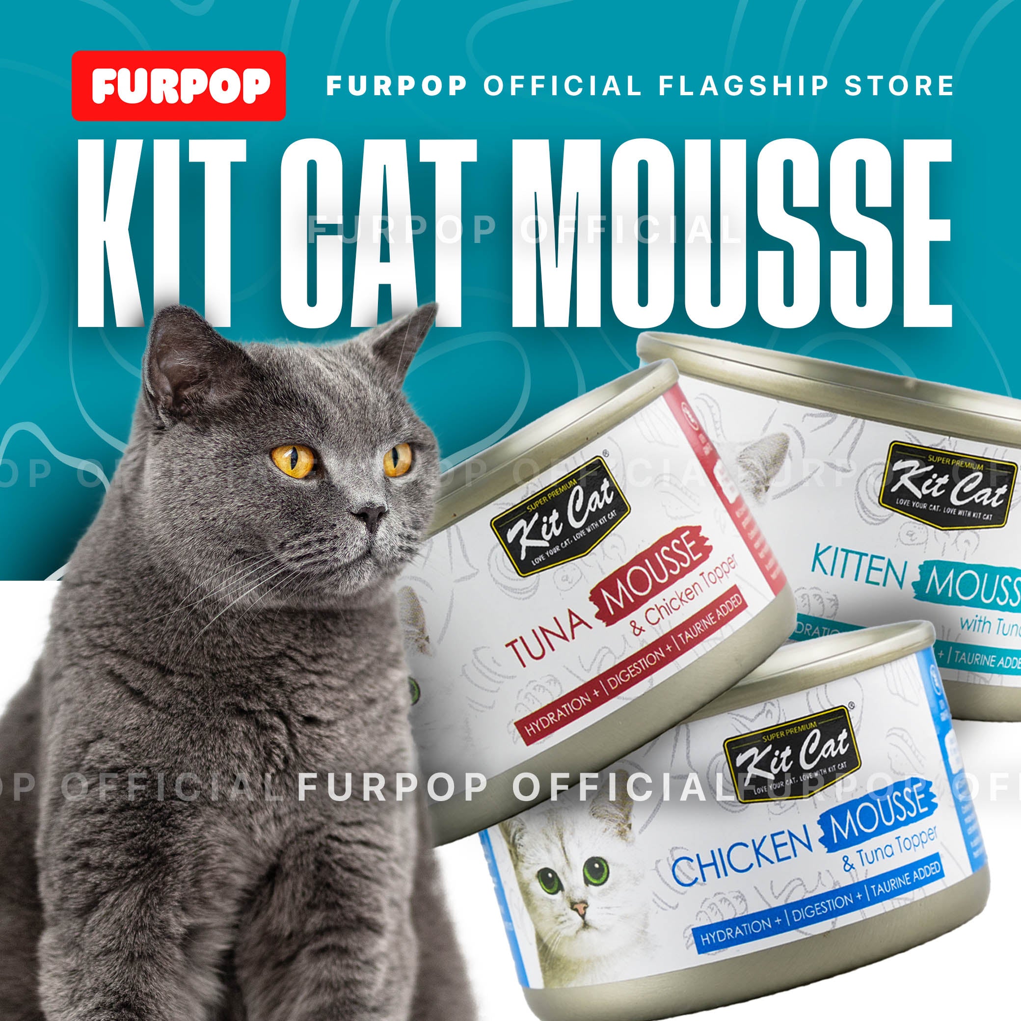 Kit Cat Mousse