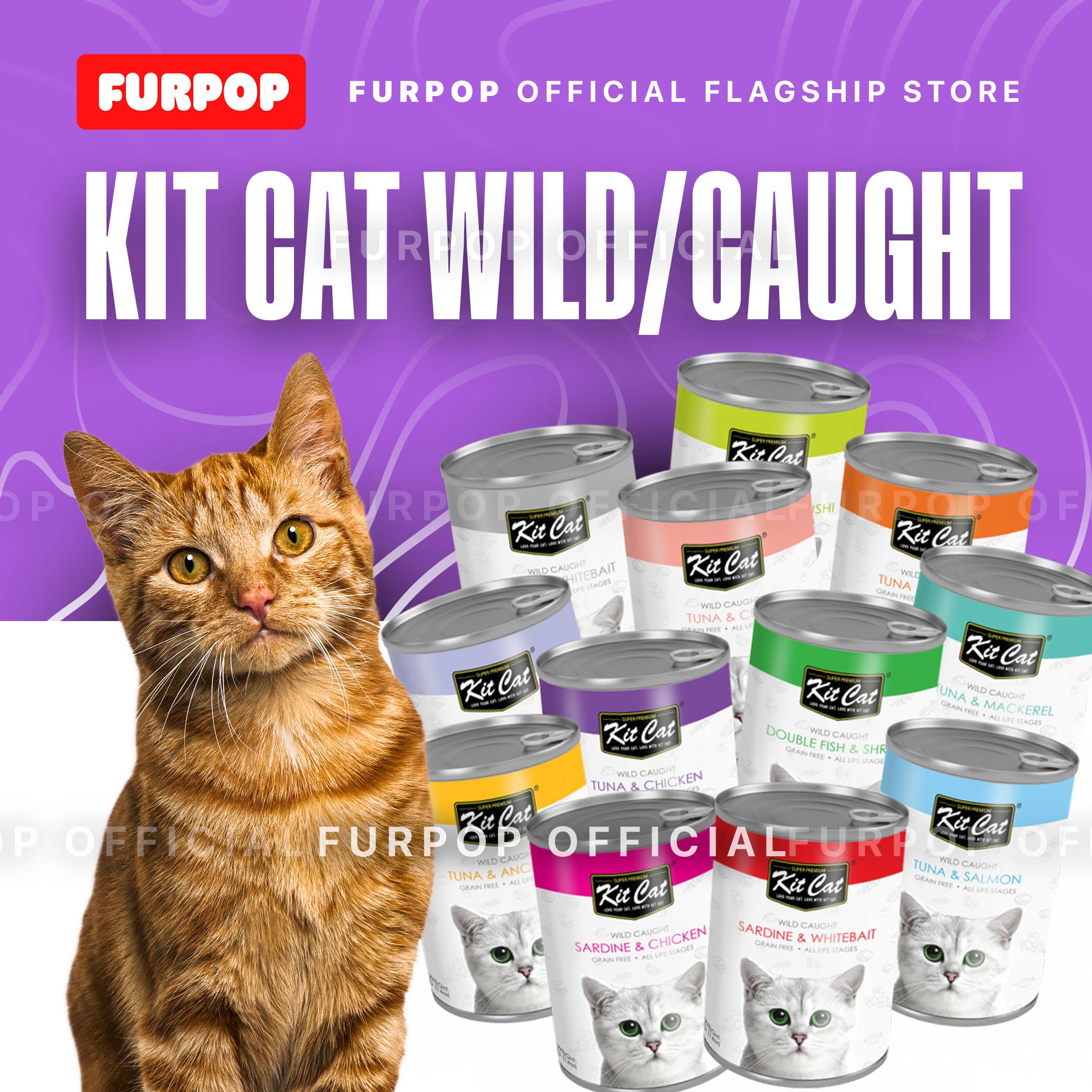 Kit Cat Wild Caught Tuna Grain Free Super Premium Wet Cat Food 400g in Can