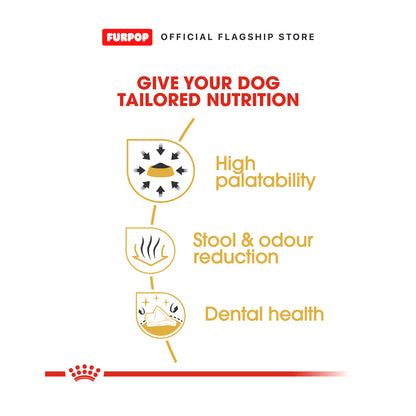 Royal Canin 12pcs Chihuahua Adult (85g x 12 pouches) 1BOX Wet Dog Food - Breed Health Nutrition