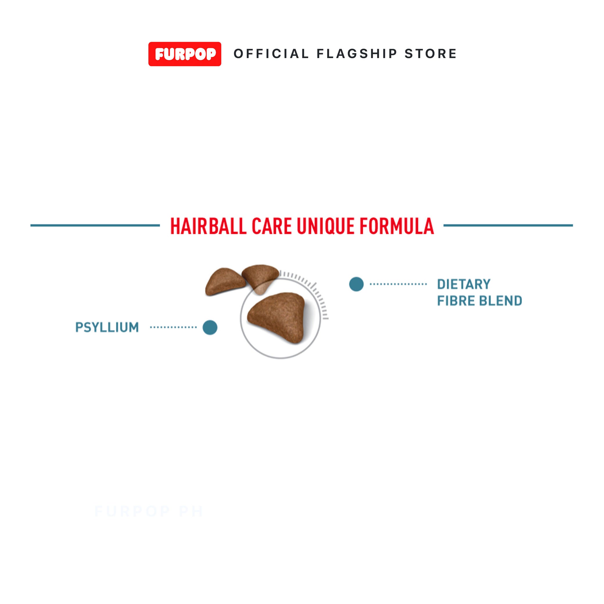 Royal Canin Hairball Care (2kg) Adult Dry Cat Food - Feline Care Nutrition