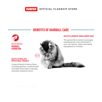 Royal Canin Hairball Care (2kg) Adult Dry Cat Food - Feline Care Nutrition