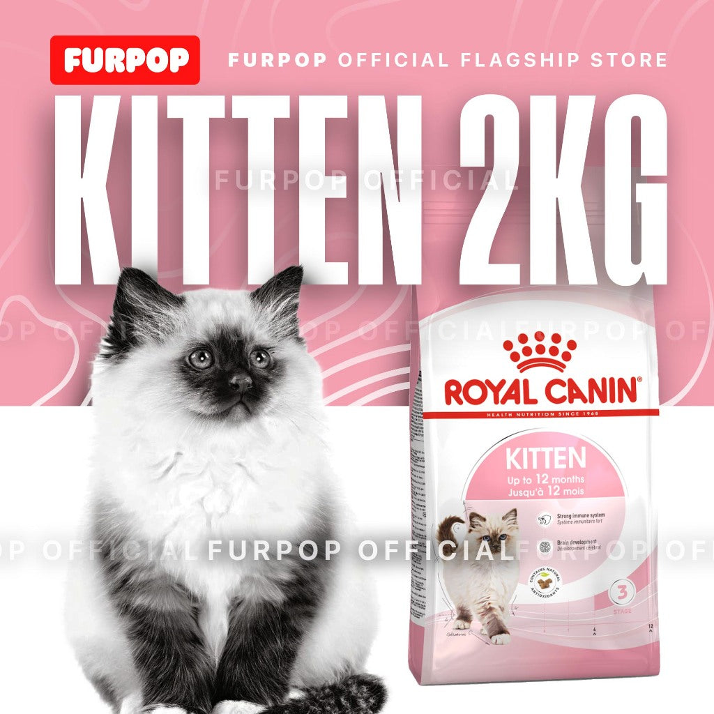 Royal Canin Kitten 36 2KG Dry Cat Food Feline Health Nutrition