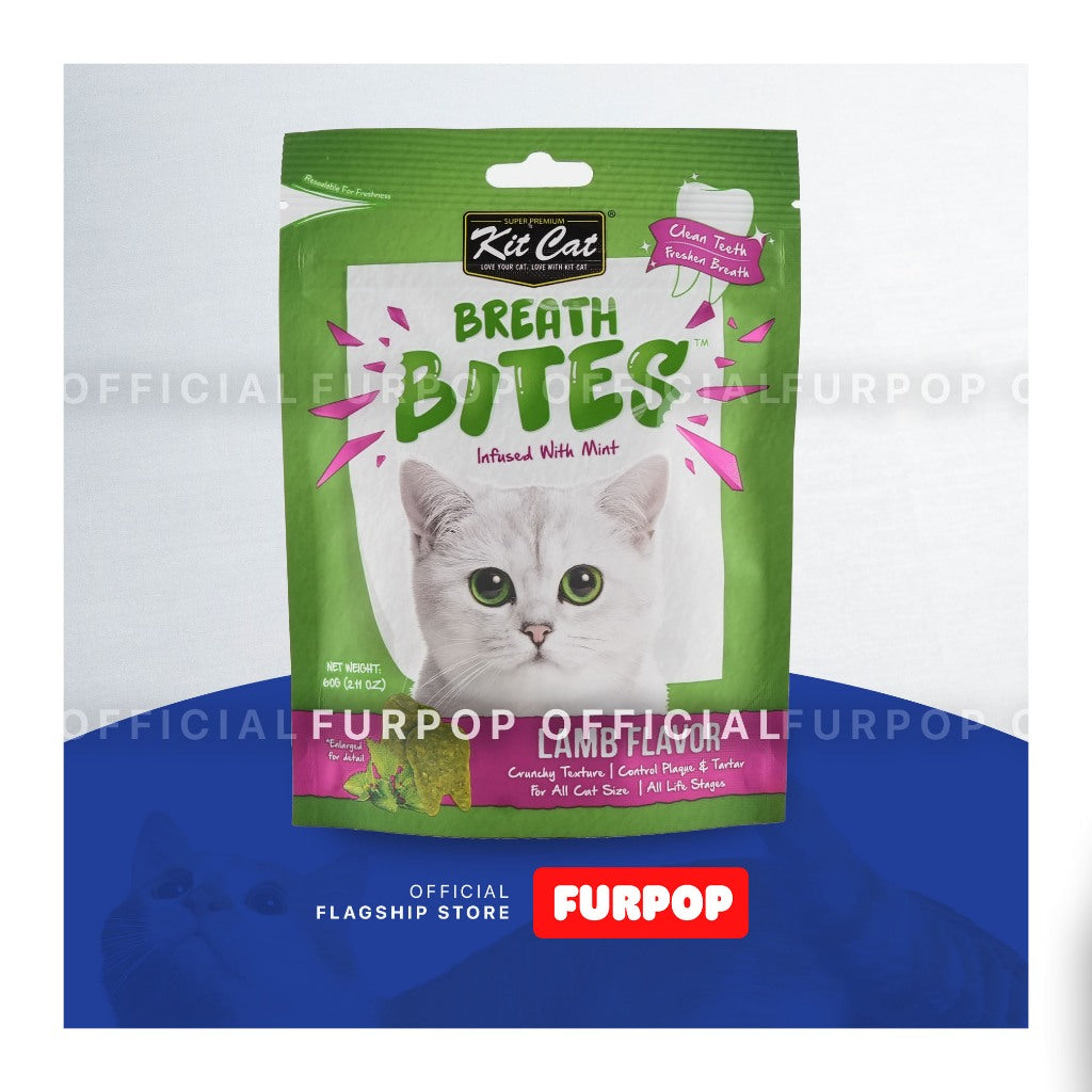 Kit Cat Breath Bite Cat Chicken Lamb Salmon Seafood Kitten