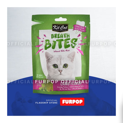 Kit Cat Breath Bite Cat Chicken Lamb Salmon Seafood Kitten