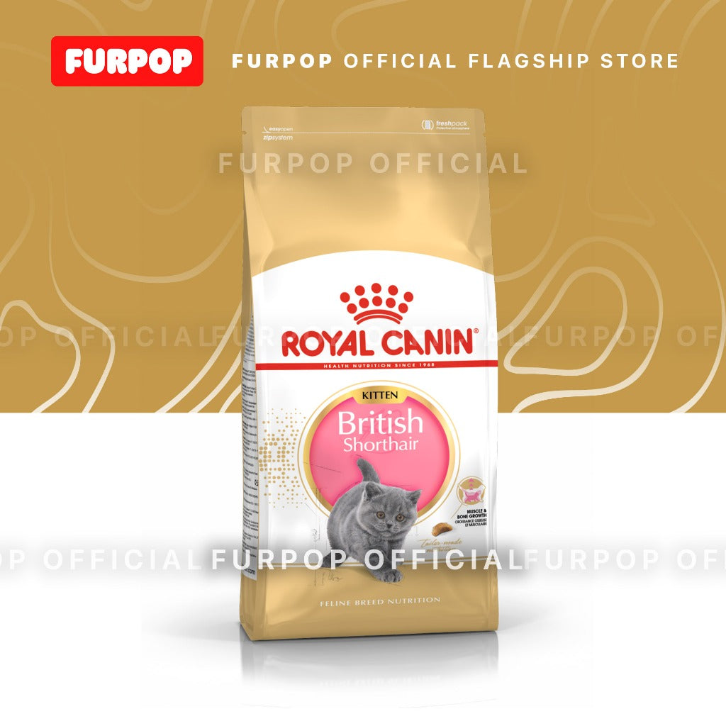 Royal Canin British Shorthair KITTEN 2KG Dry Cat Food - Feline Breed Nutrition | FURPOP
