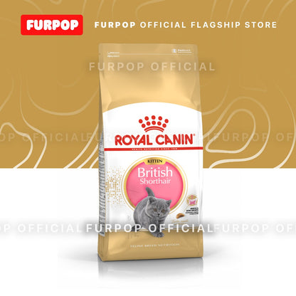 Royal Canin British Shorthair KITTEN 2KG Dry Cat Food - Feline Breed Nutrition | FURPOP