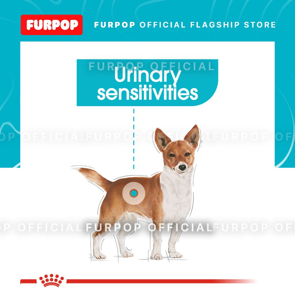 Royal Canin Mini Urinary Care (3kg) Adult Dry Dog Food - Canine Care Nutrition