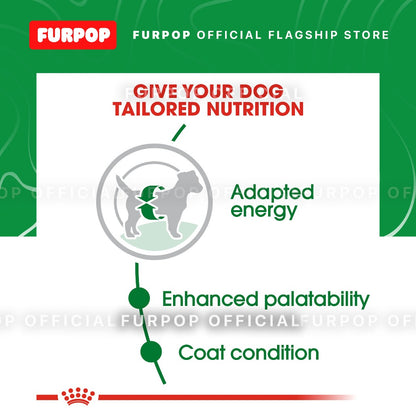 Royal Canin 2KG Adult Mini Size Health Nutrition Adult Mini Dry Dog Food | FURPOP