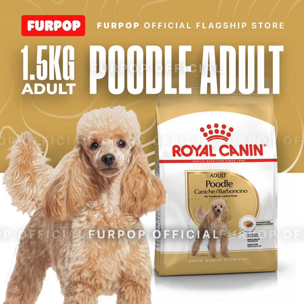 Royal Canin 1.5KG Poodle Adult Dry Dog Food - Breed Health Nutrition | FURPOP