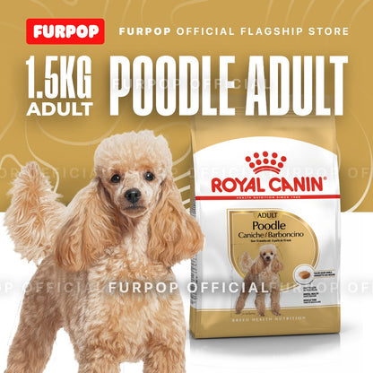 Royal Canin 1.5KG Poodle Adult Dry Dog Food - Breed Health Nutrition | FURPOP