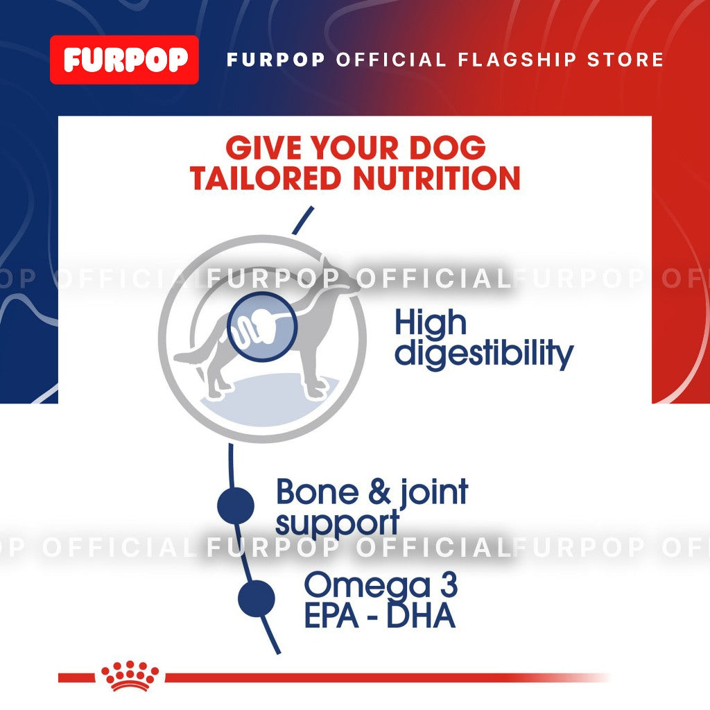 Royal Canin Maxi Adult (140g x 10 pouches) Wet Dog Food - Size Health Nutrition | FURPOP