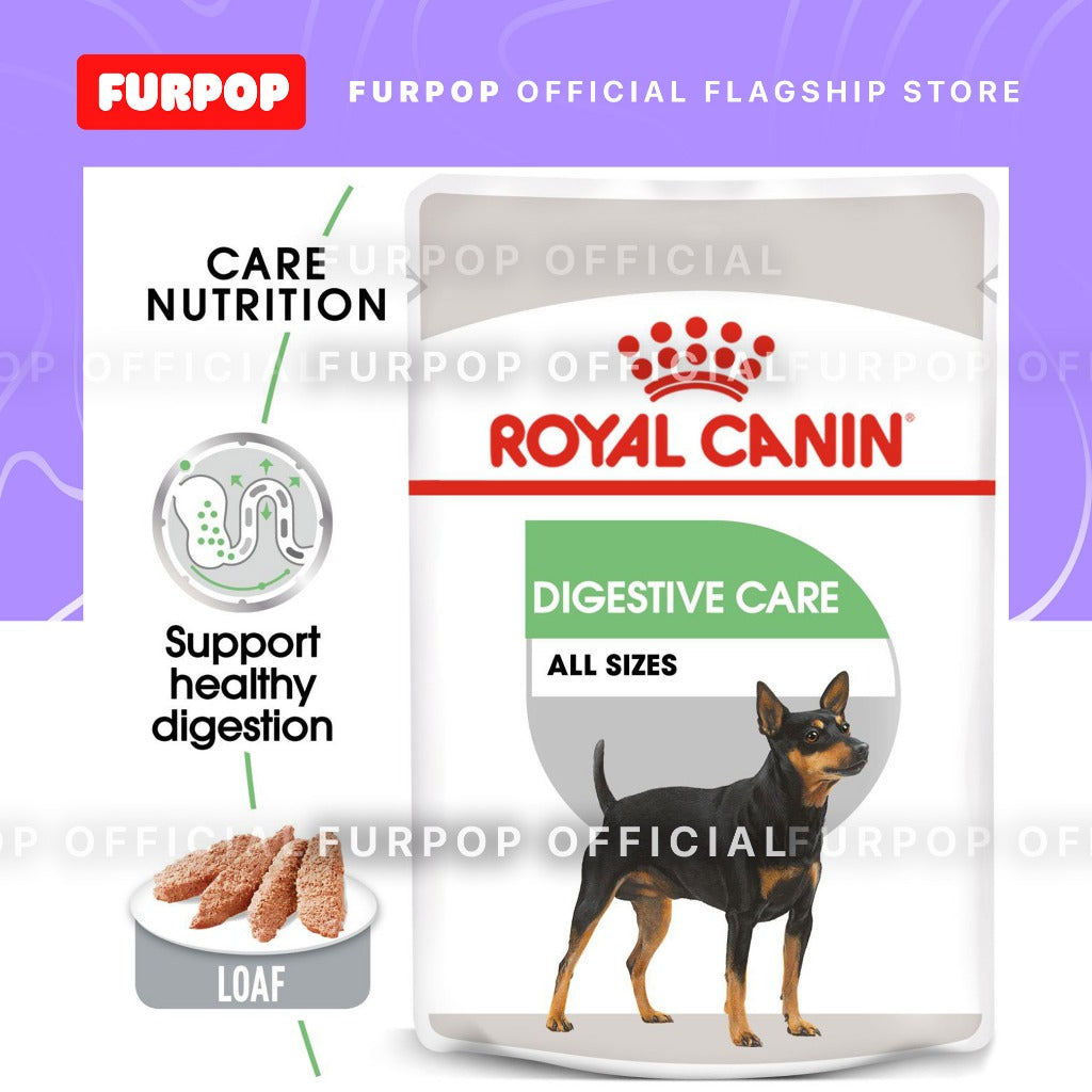 Royal Canin 12pcs Digestive Care (85g x 12 pouches) Adult Wet Dog Food - Canine Care Nutrition