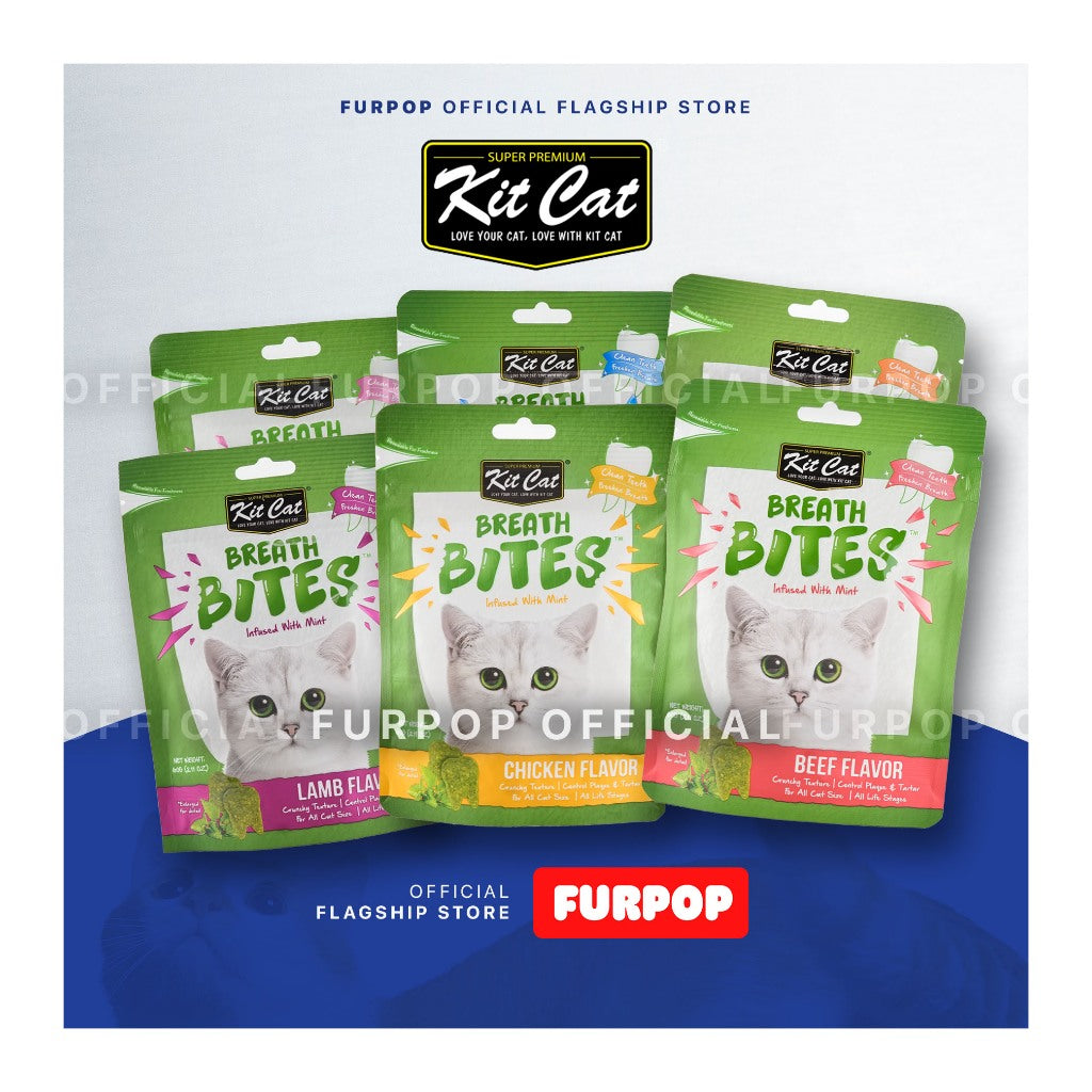 Kit Cat Breath Bite Cat Chicken Lamb Salmon Seafood Kitten