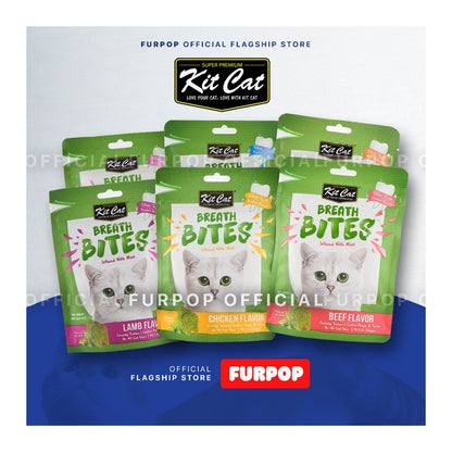 Kit Cat Breath Bite Cat Chicken Lamb Salmon Seafood Kitten