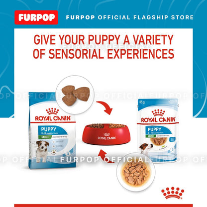 Royal Canin 12pcs Mini Puppy 85g x12pcs. Wet Dog Food - Size Health Nutrition | FURPOP