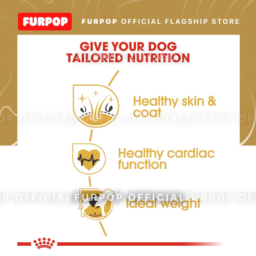 Royal Canin Golden Retriever Adult (3kg) Dry Dog Food - Breed Health Nutrition