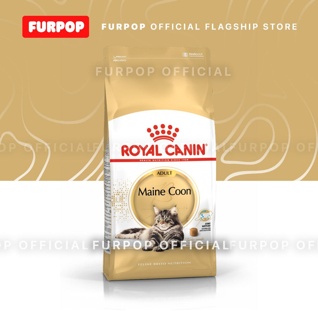 Royal Canin Maine Coon Adult (2kg) Dry Cat Food - Feline Breed Nutrition | FURPOP