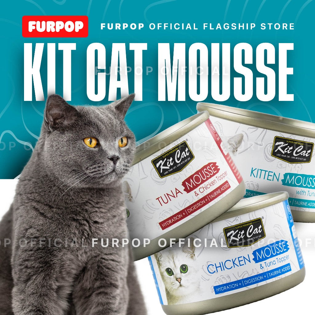 Kit Cat Mousse | FURPOP OFFICIAL
