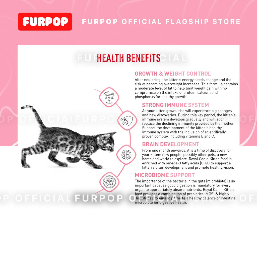 Royal Canin Sterilised Kitten 2KG Dry Food For Kitten 6-12 Months | FURPOP
