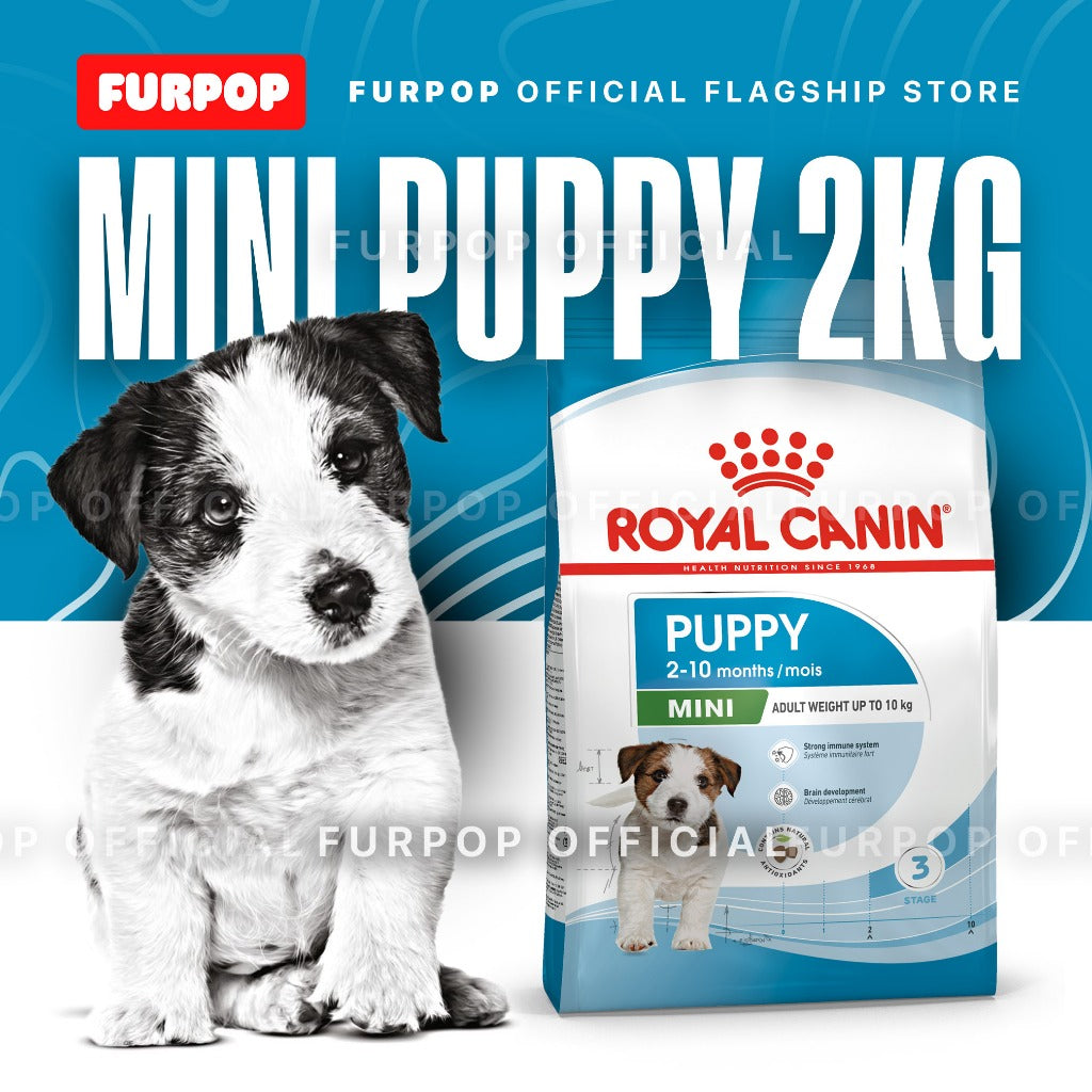 Royal Canin Mini Puppy 2KG Dry Dog Food - Size Health Nutrition | FURPOP