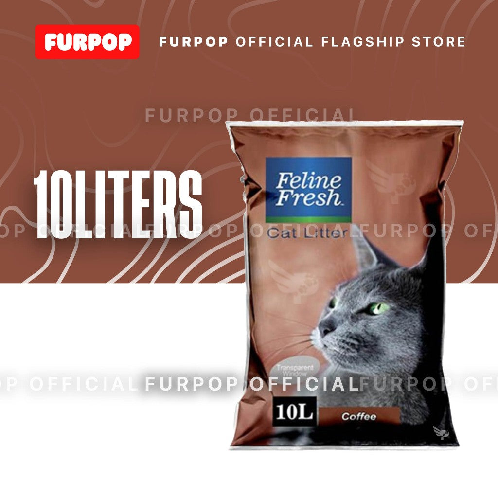 Feline Fresh Cat Litter Sand 10 Liters | FURPOP