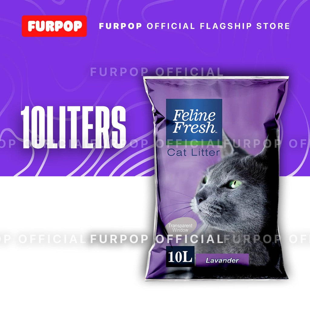 Feline Fresh Cat Litter Sand 10 Liters | FURPOP