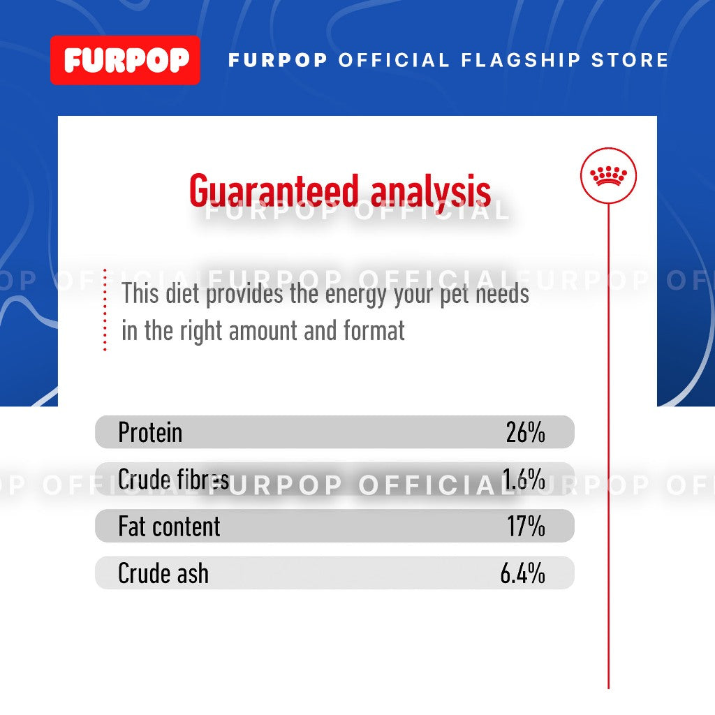 Royal Canin Maxi 5+ Adult (4KG) Dry Dog Food - Size Health Nutrition | FURPOP