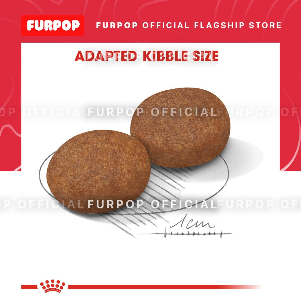 Royal Canin Medium Adult 7+ (4KG) Dry Dog Food - Size Health Nutrition | FURPOP