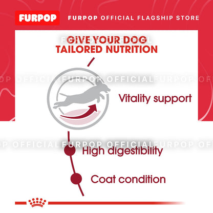 Royal Canin Medium Adult 7+ (4KG) Dry Dog Food - Size Health Nutrition | FURPOP