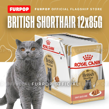 Royal Canin British Shorthair Adult 85Gx12 Wet Cat Food - Feline Breed Nutrition | FURPOP
