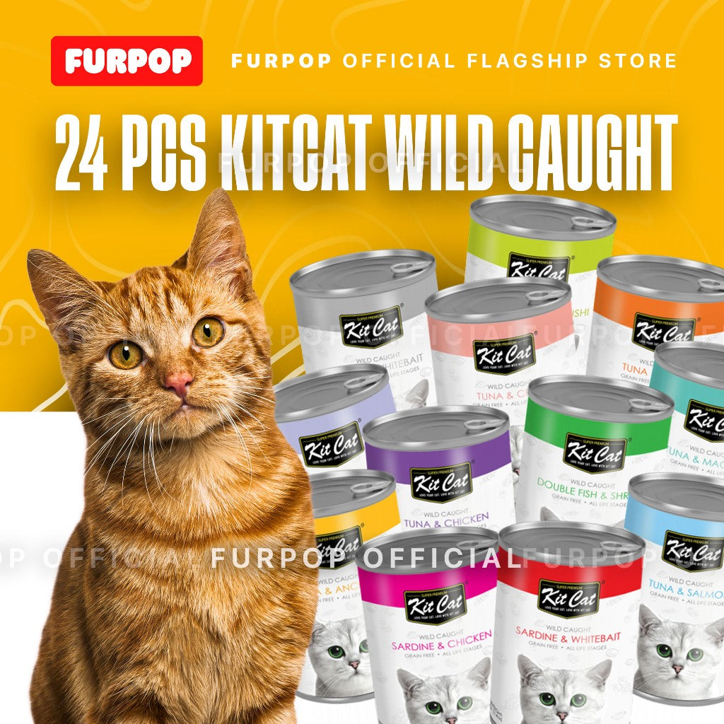 Kit Cat 24pcs(1box) Wild Caught Tuna Grain Free Super Premium Wet Cat Food 24pcs x 400g in Can