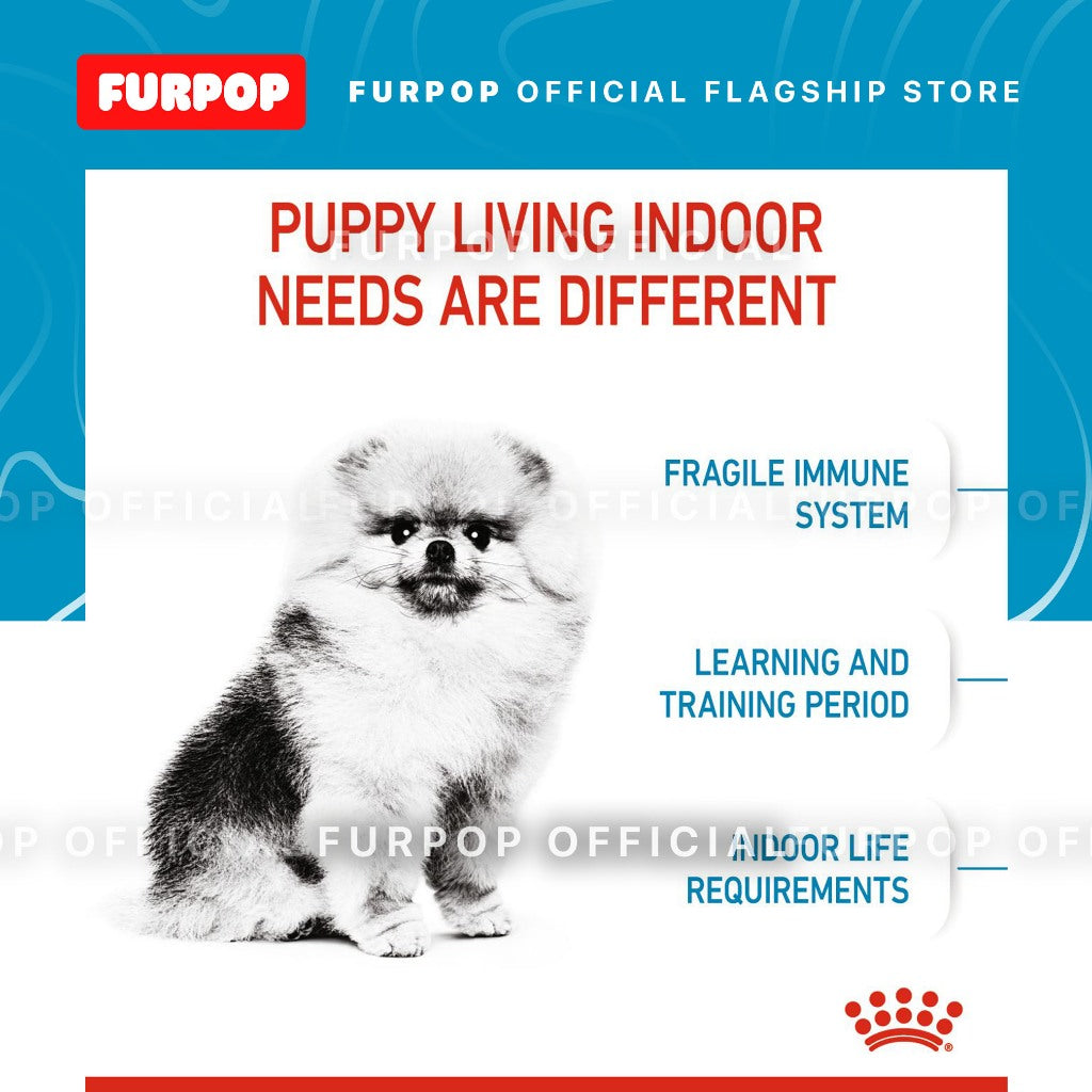Royal Canin 1.5KG Mini Indoor Puppy (1.5kg) Dry Dog Food - Size Health Nutrition
