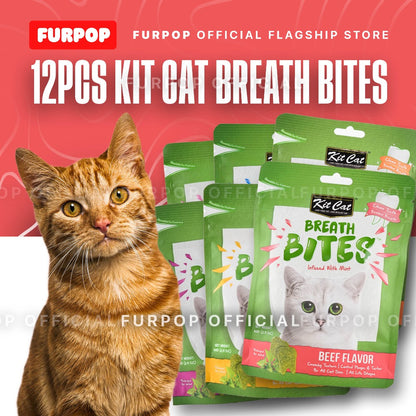 12pcs Kit Cat Breath Bites Cat Kitten | FURPOP OFFICIAL