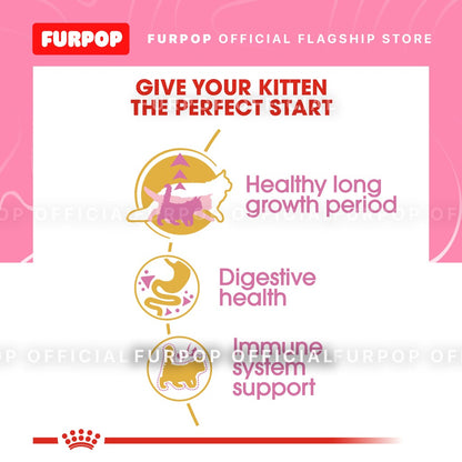 Royal Canin Maine Coon Kitten (2kg) Dry Cat Food - Feline Breed Nutrition | FURPOP