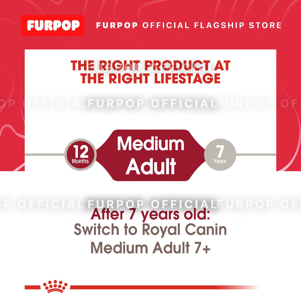 Royal Canin Medium Adult (4KG) Dry Dog Food - Size Health Nutrition | FURPOP