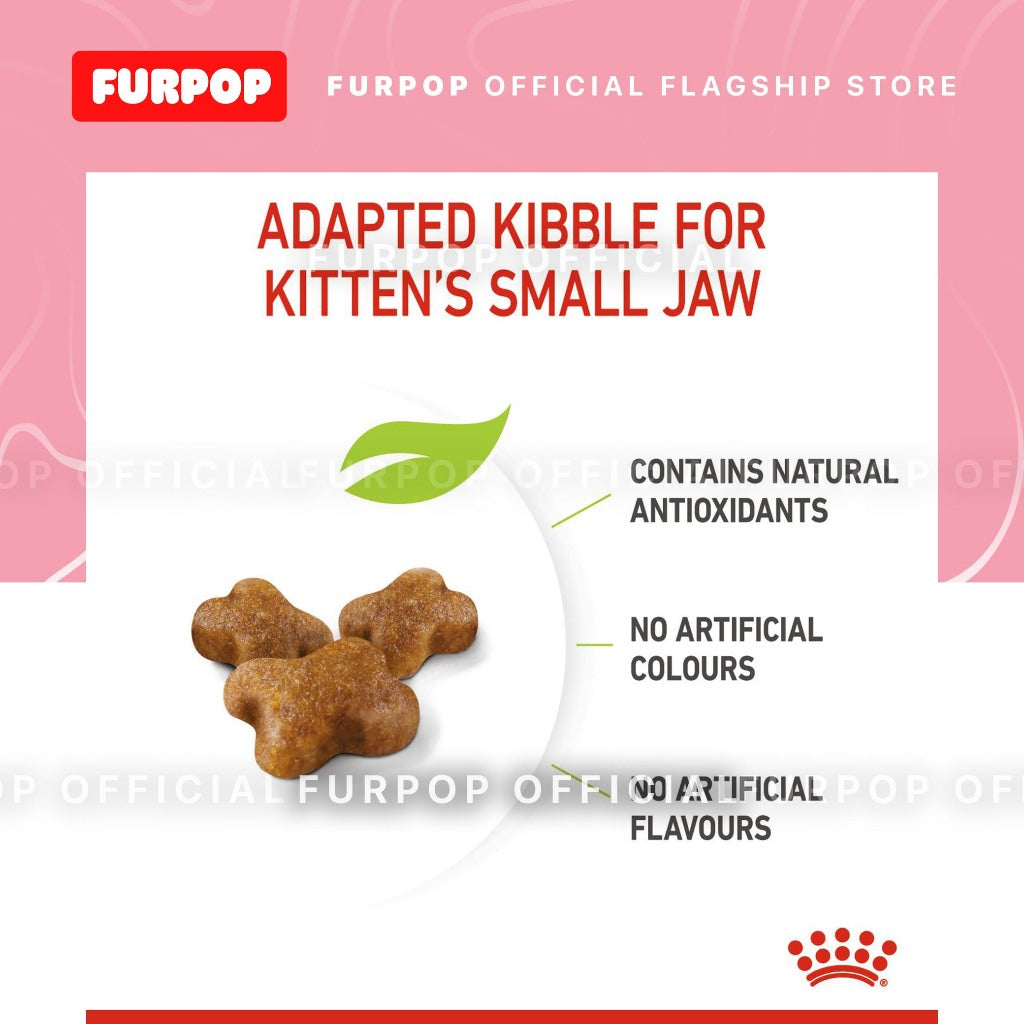 Royal Canin Kitten 36 400 Grams Dry Cat Food Feline Health Nutrition