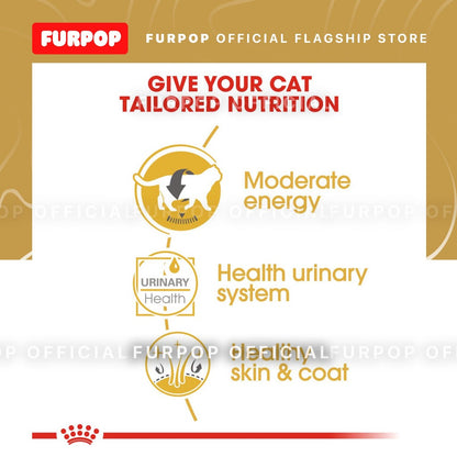 Royal Canin British Shorthair Adult 85Gx12 Wet Cat Food - Feline Breed Nutrition | FURPOP