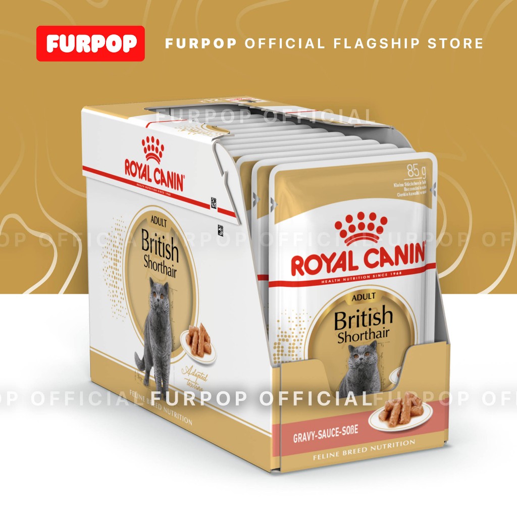 Royal Canin British Shorthair Adult 85Gx12 Wet Cat Food - Feline Breed Nutrition | FURPOP