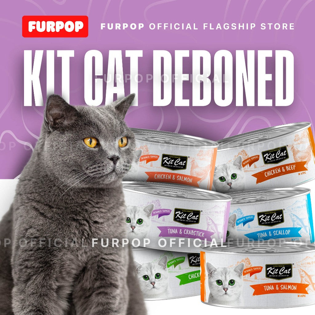 Kit Cat Deboned Canned Wet Cat Food 80g | FURPOP OFFICIAL
