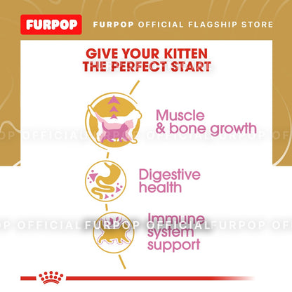 Royal Canin British Shorthair KITTEN 2KG Dry Cat Food - Feline Breed Nutrition | FURPOP