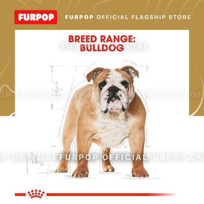 Royal Canin Bulldog Adult (3kg) Dry Dog Food - Breed Health Nutrition