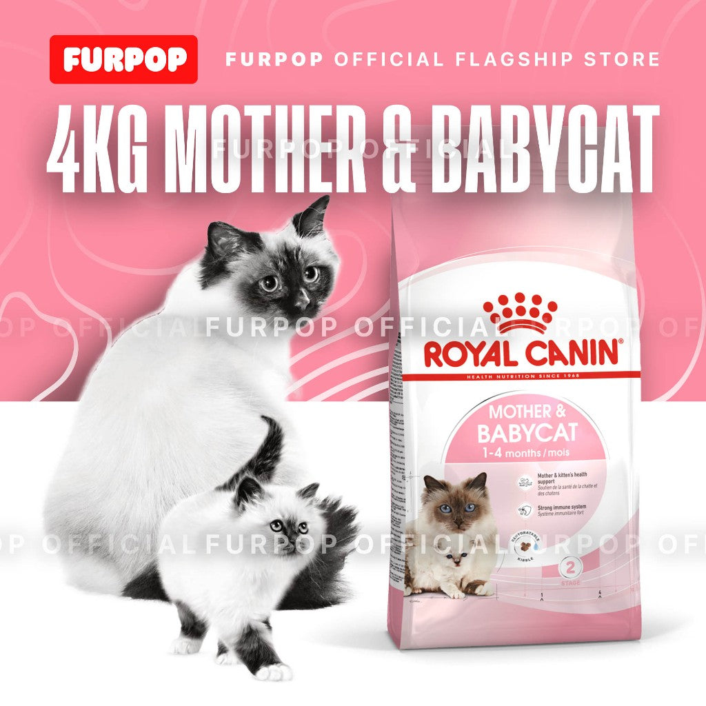 Royal Canin Mother & Babycat 4KG Premium Dry Food | FURPOP