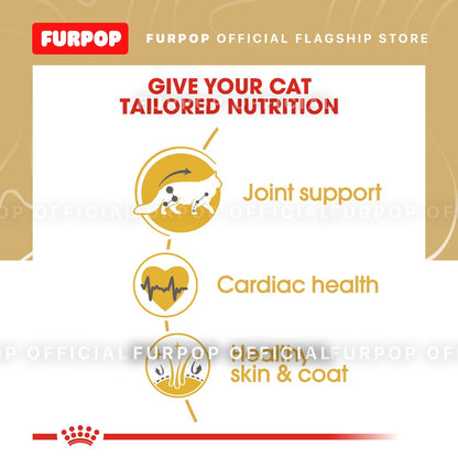 Royal Canin Maine Coon Adult (2kg) Dry Cat Food - Feline Breed Nutrition | FURPOP