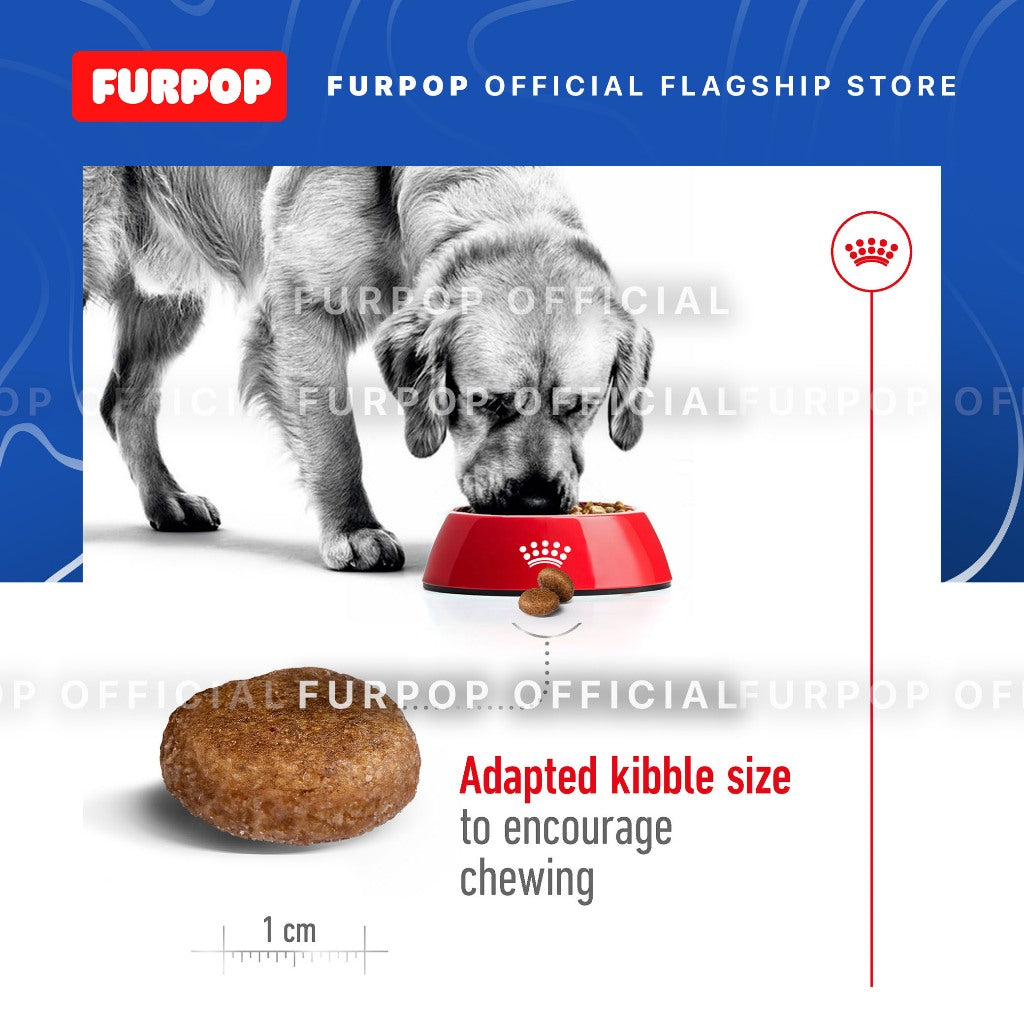 Royal Canin Maxi 5+ Adult (4KG) Dry Dog Food - Size Health Nutrition | FURPOP